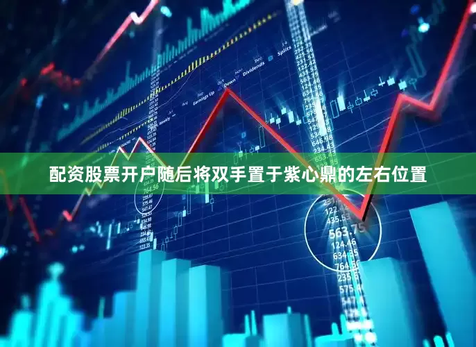 配资股票开户随后将双手置于紫心鼎的左右位置