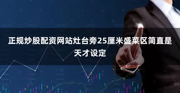 正规炒股配资网站灶台旁25厘米盛菜区简直是天才设定