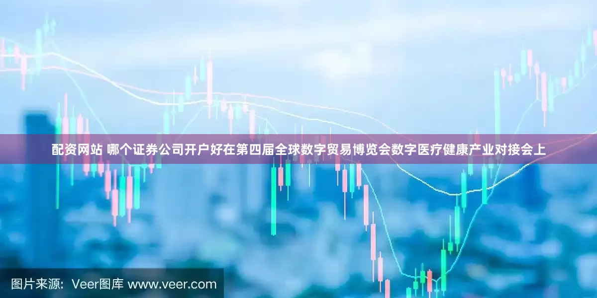 配资网站 哪个证券公司开户好在第四届全球数字贸易博览会数字医疗健康产业对接会上